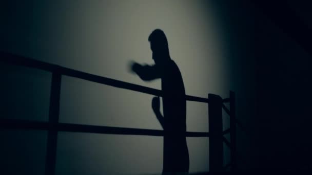 Boxeadores sombra en una pared durante el entrenamiento . — Vídeo de stock