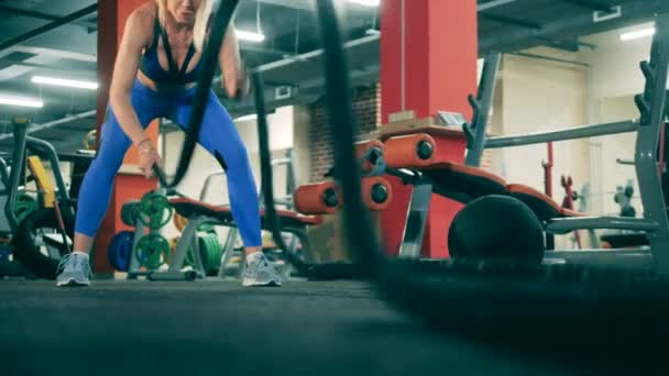 Professional athlete workouts with ropes in gym. — Stock Video