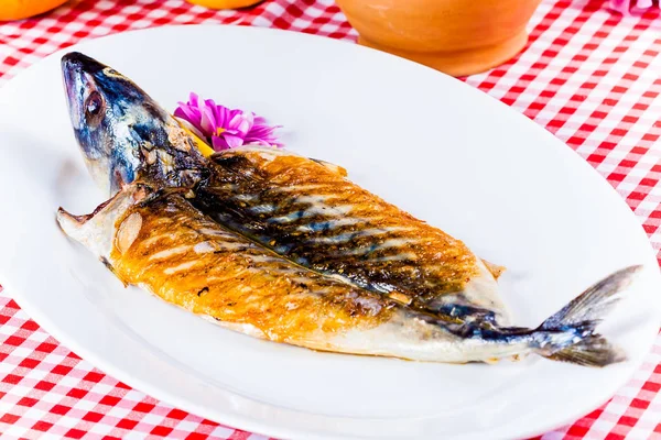 Caballa a la parrilla en plato blanco — Foto de Stock