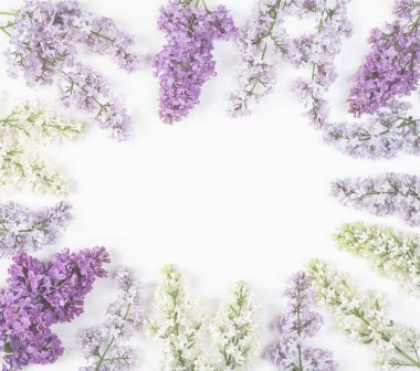 Çerçeve çiçek leylak çiçek izole bahar beyaz arka plan üzerinde yapılmış. Üstten Görünüm kopya alanı ile. Düz yatıyordu.