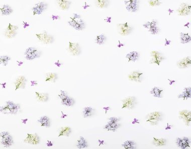 Çerçeve çiçek leylak çiçek izole bahar beyaz arka plan üzerinde yapılmış. Üstten Görünüm kopya alanı ile. Düz yatıyordu.