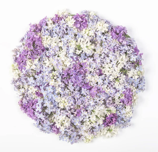 Lilac flowers arranged in round shape isolated on white background. Flat lay. Top view.