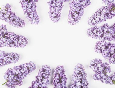Çerçeve çiçek leylak çiçek izole bahar beyaz arka plan üzerinde yapılmış. Üstten Görünüm kopya alanı ile. Düz yatıyordu.