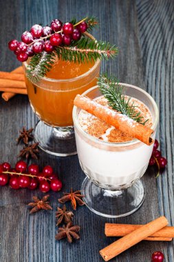 Geleneksel yeni yıl ya da Noel içkileri. Eggnog kokteyli ve tarçın çubuklu sıcak elma şarabı, anason yıldızları ve kızılcıklı..