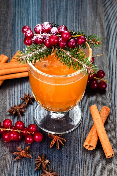 Traditionele Herfst Winterdrank Warme Appelcider Met Kaneelstokjes Veenbessen — Stockfoto