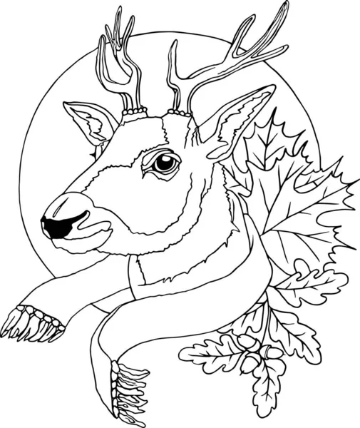 Genç, yakışıklı, gururlu, atkılı bir geyiğin kafası.