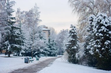 Bir kış parkının karla kaplı manzaraları. 