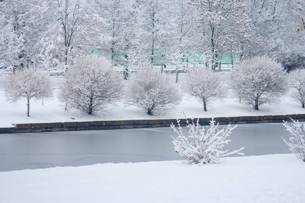 Bir kış parkının karla kaplı manzaraları. 