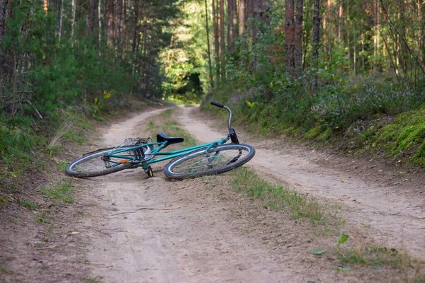 An old vintage bike lies on a sandy forest path in the midst of tall trees and lush bushes.