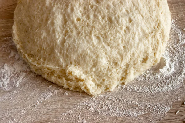 Beautiful Porous Structure Approached Yeast Dough Preparation Yeast Dough Pastry — Stock Photo, Image