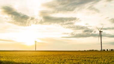 Rüzgar jeneratörü gün batımında çim tarlasında