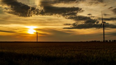 Rüzgar jeneratörü gün batımında çim tarlasında