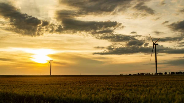 日落时草坪上的风力发电机 — 图库照片