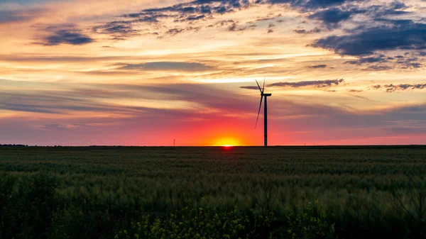 夕阳西下的草场风力发电机 — 图库照片