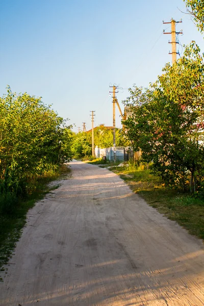 Yeşil çalılarla çevrili toprak yol ve mavi gökyüzüne karşı elektrik direkleri.