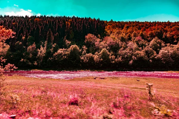 Kırmızı Bitki Ağaçları Çalılar Mavi Gökyüzü Ile Bir Dağ Nehri — Stok fotoğraf