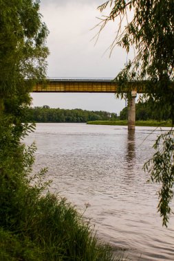 Gündüzleri yeşil ormanlarla çevrili nehir üzerindeki metal köprü.