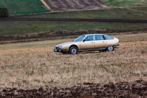 Ein Beigefarbenes Auto Steht Auf Einem Feld Vor Dem Hintergrund — Stockfoto