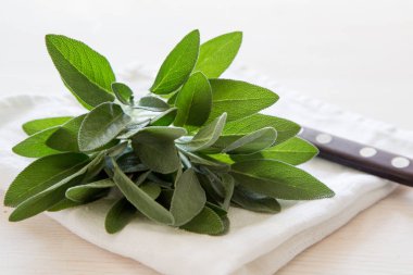 Hafif ahşap masada bir demet taze adaçayı. Seçici odak