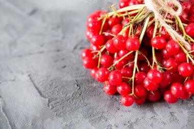 Kalina gri bir arka plan üzerinde. Kartopu. seçici odak. kopya spa