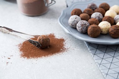 Toz kakao, Hindistan cevizi ve kıyılmış fındık tatlısı tabakta çeşitli çikolata truffles