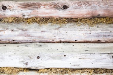 doğal eski ahşap arka plan. Grunge ahşap paneller 