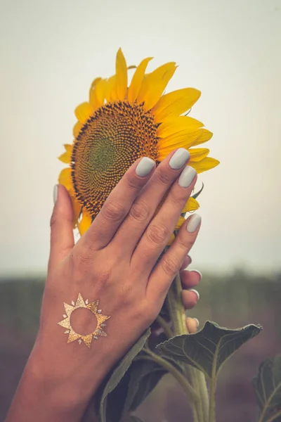 Красива соняшникова і жіноча рука на заході сонця. тонування фото — стокове фото