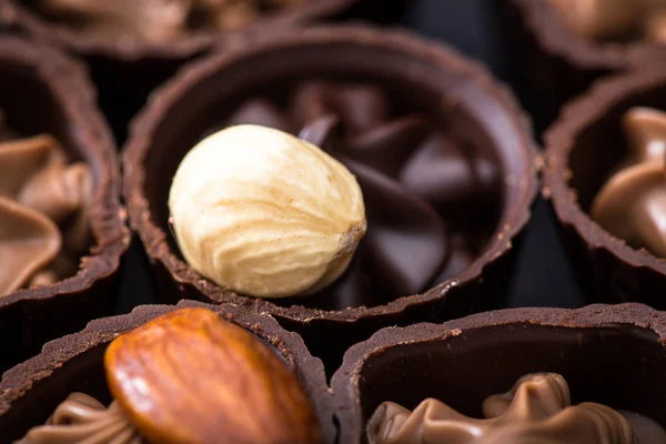 Diferentes tipos de chocolates de cerca. varios pralinés de chocolate — Foto de Stock