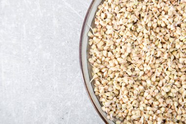 Taze yeşil buğday filizi kaşık Closeup içinde. Organik çiğ sağlıklı Vegan diyet.  