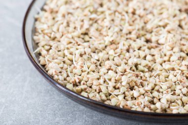 Taze yeşil buğday filizi kaşık Closeup içinde. Organik çiğ sağlıklı Vegan diyet.  