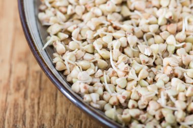 Taze yeşil buğday filizi kaşık Closeup içinde. Organik çiğ sağlıklı Vegan diyet.  