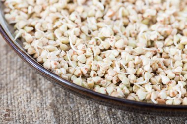 Taze yeşil buğday filizi kaşık Closeup içinde. Organik çiğ sağlıklı Vegan diyet.  