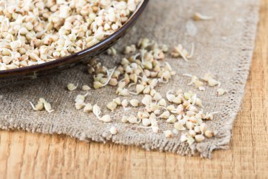 Taze yeşil buğday filizi kaşık Closeup içinde. Organik çiğ sağlıklı Vegan diyet.  