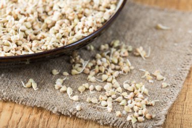 Taze yeşil buğday filizi kaşık Closeup içinde. Organik çiğ sağlıklı Vegan diyet.  