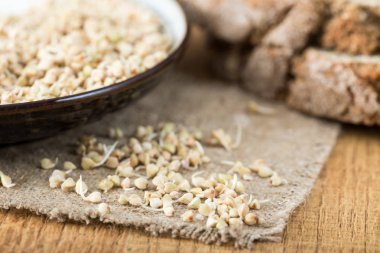 Taze yeşil buğday filizi kaşık Closeup içinde. Organik çiğ sağlıklı Vegan diyet.  