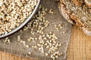 Taze yeşil buğday filizi kaşık Closeup içinde. Organik çiğ sağlıklı Vegan diyet.  