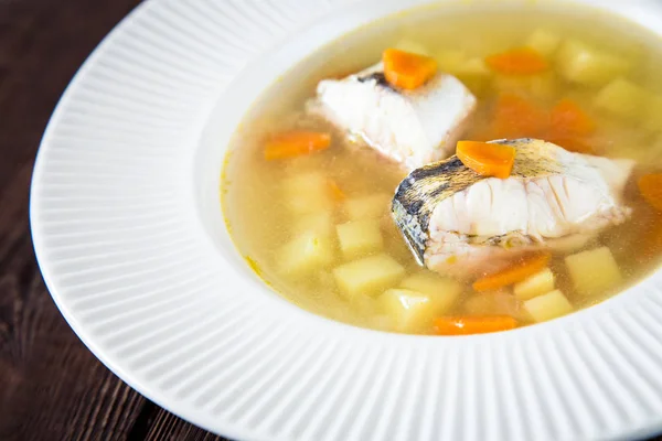 Sopa de pescado fresco con lucio y verduras en un plato blanco — Foto de Stock