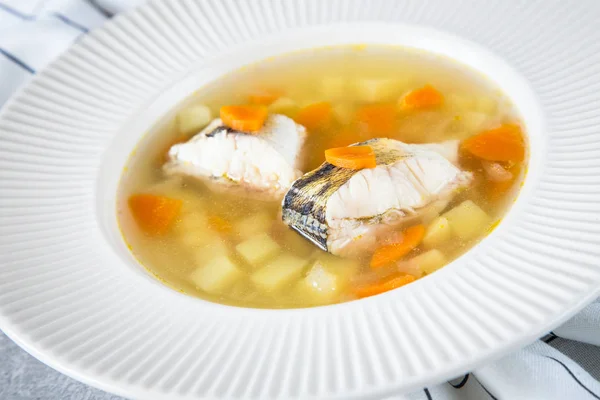 Sopa de pescado fresco con lucio y verduras en un plato blanco — Foto de Stock