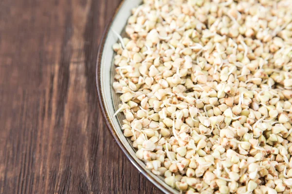 Taze yeşil buğday filizi kaşık Closeup içinde. 