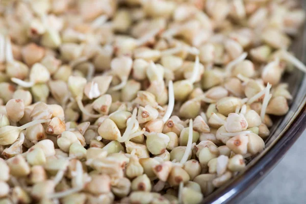 Fresh Green Buckwheat Sprouts in the spoon Closeup. Raw Healthy Vegan Organic Diet. — Stock Photo, Image