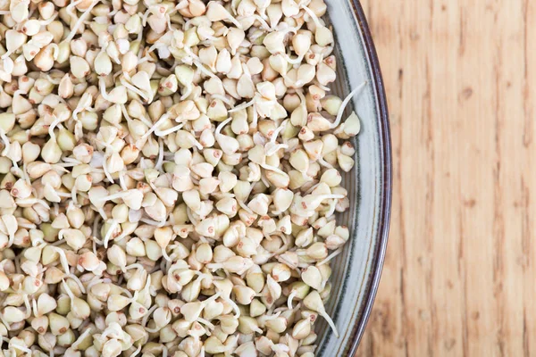 Brotos de fagópiro verde fresco na colher Closeup. Dieta orgânica Vegan saudável cru . — Fotografia de Stock