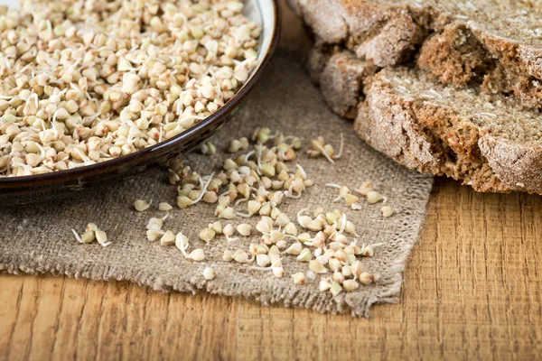 Taze yeşil buğday filizi kaşık Closeup içinde. Organik çiğ sağlıklı Vegan diyet. — Stok fotoğraf