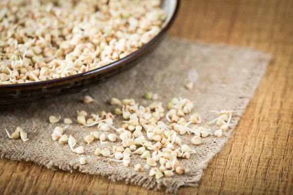 Taze yeşil buğday filizi kaşık Closeup içinde. Organik çiğ sağlıklı Vegan diyet. — Stok fotoğraf