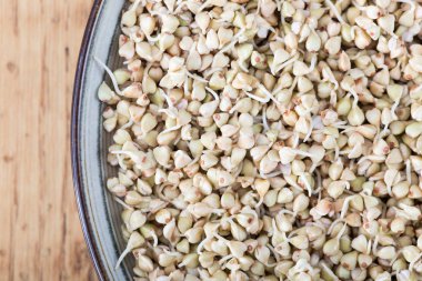 Taze yeşil buğday filizi kaşık Closeup içinde. 