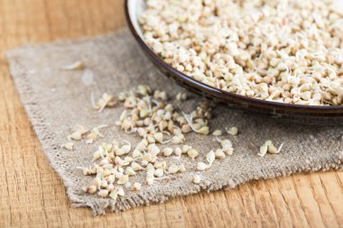 Taze yeşil buğday filizi kaşık Closeup içinde. 