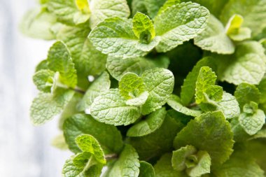 Taze nane ot bırakır. seçici odak, kopya alanı