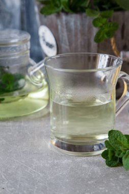 Taze nane yaprakları ile çay nane. seçici odak, kopya alanı