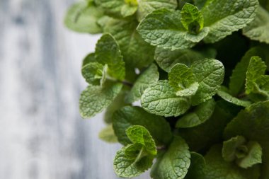 Taze nane ot bırakır. seçici odak, kopya alanı