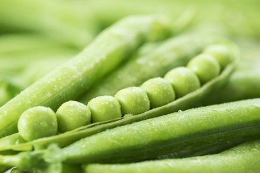 Yeşil bezelye pod, yeşil bezelye. Sebze arka plan
