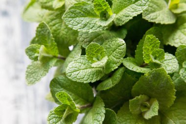 Taze nane ot bırakır. seçici odak, kopya alanı